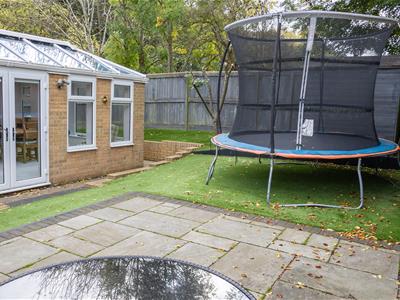 Picture 20